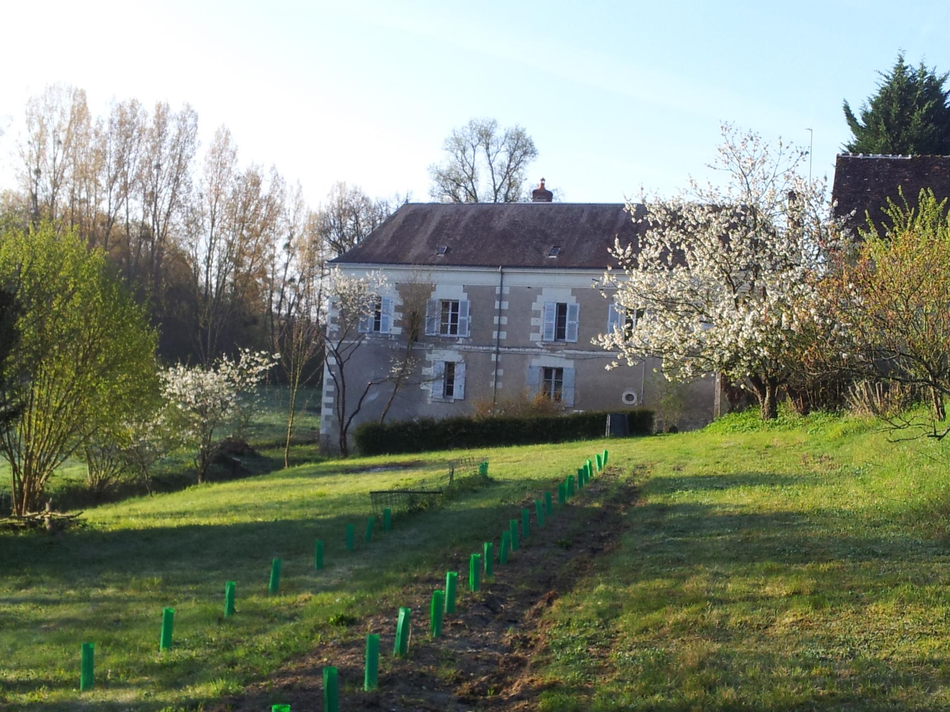 Le Moulin coté verger