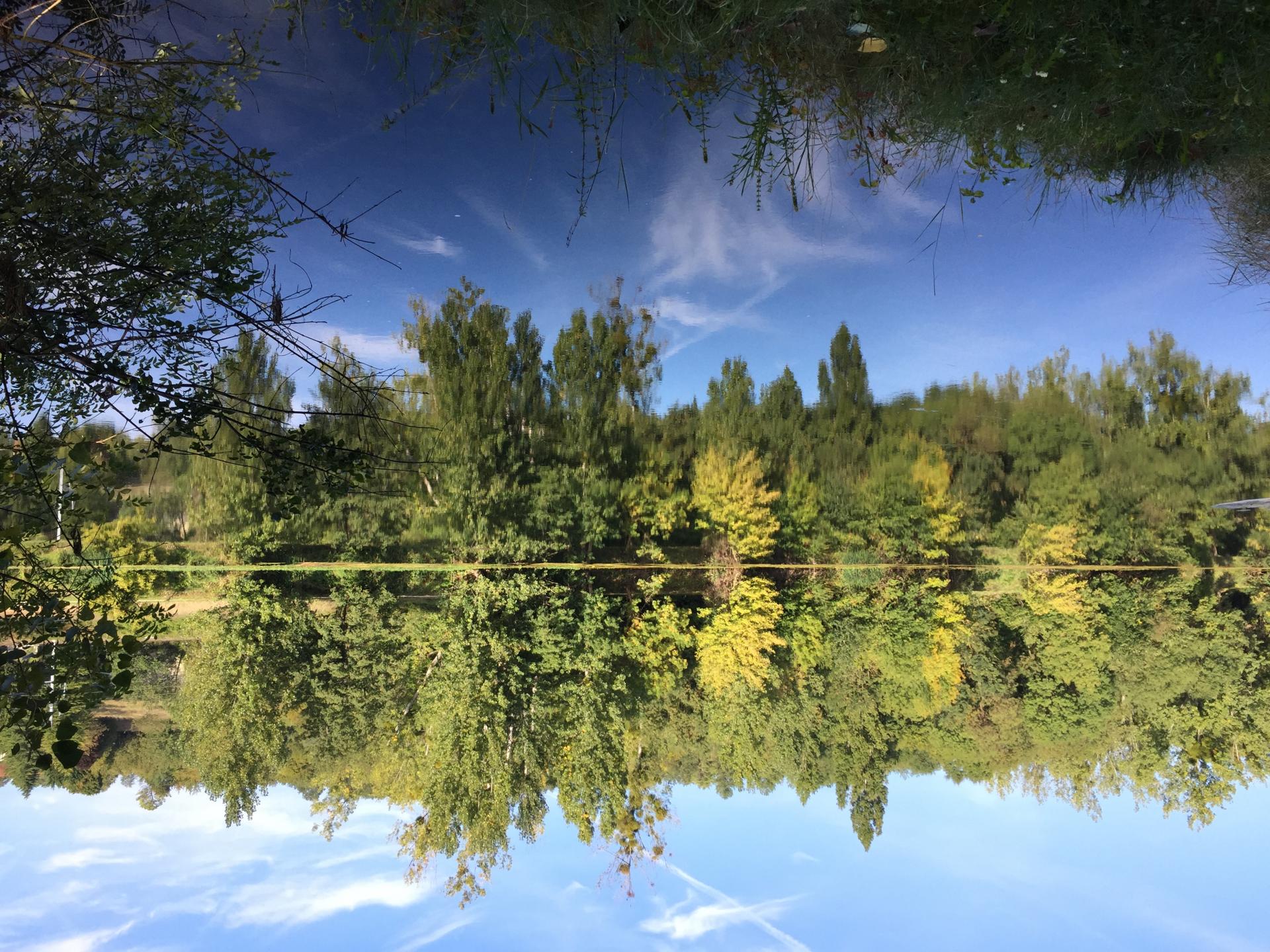 Le Cher au printemps
