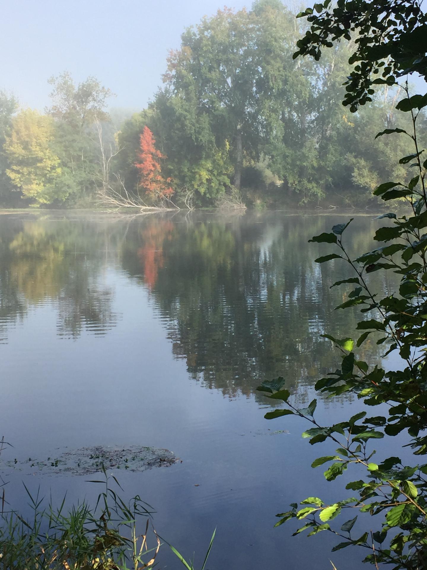 Le Cher en automne